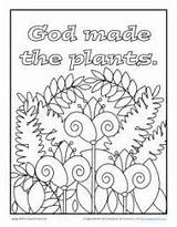Coloring God Plants Made Animals Pages Activities Bible Plant Printable Creation Sheets Open sketch template