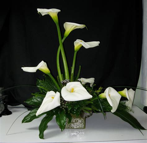 Lele Floral White Calla Lilies