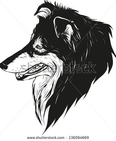 adults coloring pages dog sheltie google search projekte