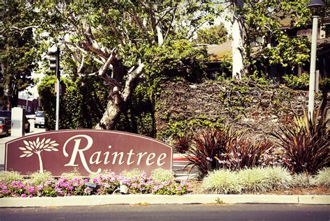 raintree condominiums  sale  culver city