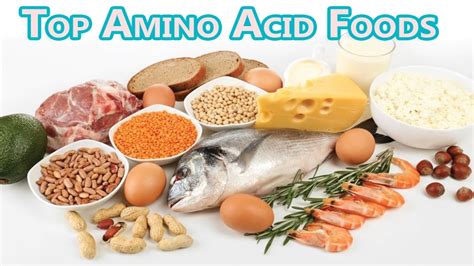 Foods High In Amino Acids And Protein Diet To Build And Repair Muscles