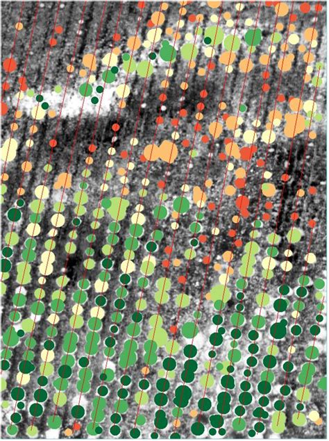 drone hyperspectral camera agriculture  vegetation ndvi analysis