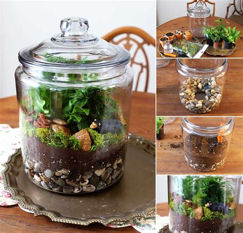 beautiful diy terrarium ideas ecotek green living