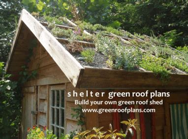 shed plans   build  shed green roof   build