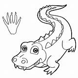 Crocodile Coloring Pages Nile Kids Caiman Baby Print Paw Alligator Color Cartoon Getdrawings sketch template