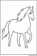 Pferd Pferde Zum Ausmalen Fabelhaft Malvorlage Pferdekopf Windowcolor Hervorragen Steckenpferd Zeichnen Ausmalbild Steigendes Kostenlose Gubik Caballos Colorear Datei Pferdemotiv Ponys sketch template