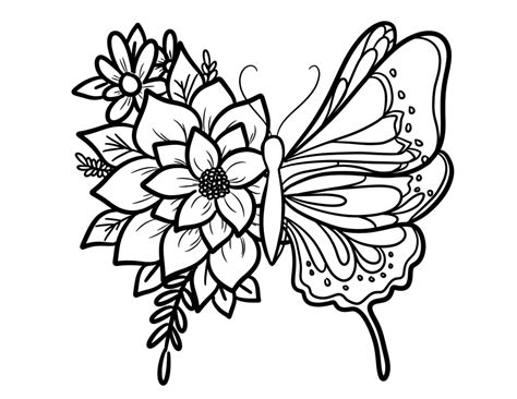 coloring butterfly pages