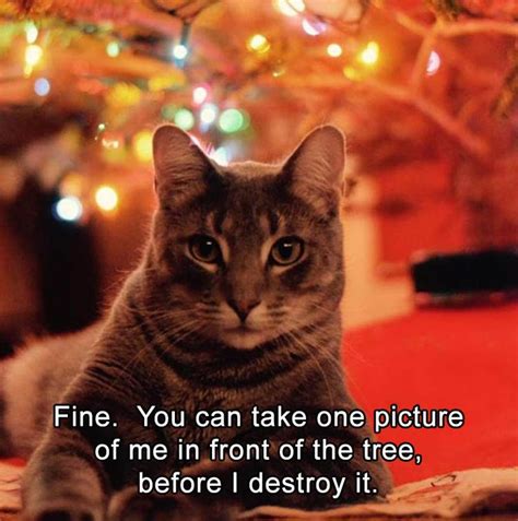 241 best christmas humor images on pinterest funny stuff haha and christmas deco