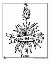Mexico Flower Coloring State Pages Arkansas Clip Yucca Tree Plant Razorbacks Color Clipart Symbols Choose Board Getcolorings Library Embroidery sketch template