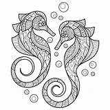 Cavalo Colorir Marinho Seahorse Desenhos Coloringbay sketch template