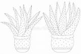 Aloe Pots sketch template