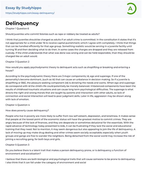 delinquency essay  studyhippocom