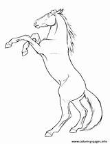 Horse Coloring Rearing Pages Mustang Printable Drawing Appaloosa Head Realistic Horses Drawings Deviantart Color Outline Draft Sketch Getcolorings Print Google sketch template