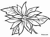 Christmas Coloring Flowers Pages Pitara Kids Printable sketch template