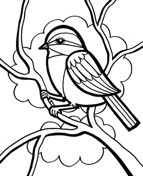 print sparrow coloring page  print topcoloringpagesnet