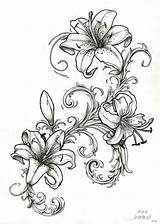 Lily Drawing Outline Tiger Tattoo Drawings Flower Water Sleeve Tattoos Lillies Lilly Designs Sketch Stargazer Lilies Flowers Quest Lilys Line sketch template