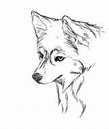 Husky Siberian sketch template