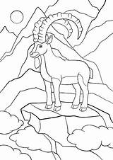 Ibex Alpine Coloring Pages Cute Stock Horns Great Illustration Vector Designlooter Stands Rock 612px 5kb sketch template