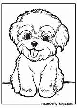 Makes Iheartcraftythings Eyebrows Energetic Panting Pup Silly sketch template