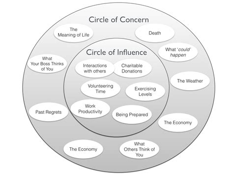 circle  influence circle  concern   therapist