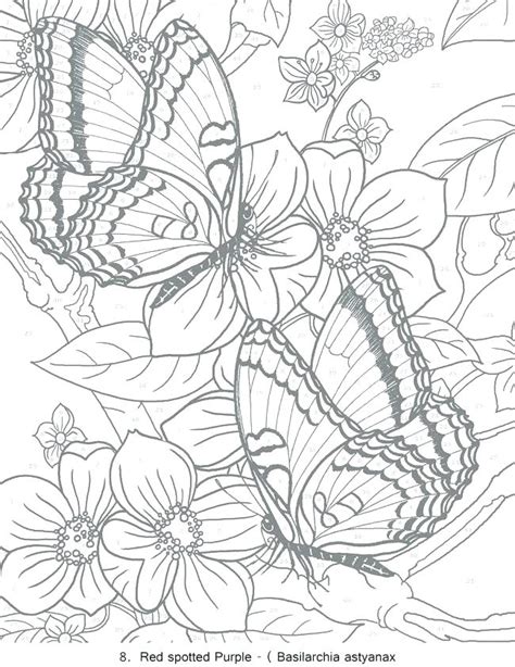 printable coloring pages  adults    printable