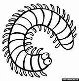 Coloring Millipede Centipede Pages Insect Clipart Color Creepy Cartoon Centipedes Colouring Crawlers Drawing Clip Insects Kids Print Millipedes Sheets Animals sketch template
