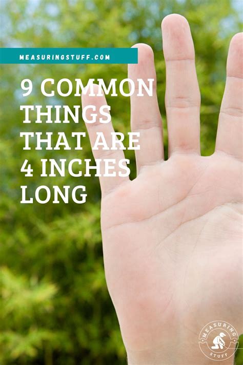 common     inches long measuring stuff