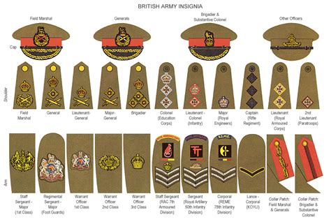 majestys services   guide  british armed forces ranks
