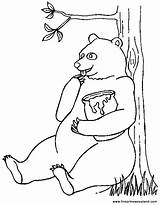Bear Eating Honey Bears Coloring Jar Colouring Meat sketch template
