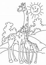 Giraffe Tulamama Book sketch template