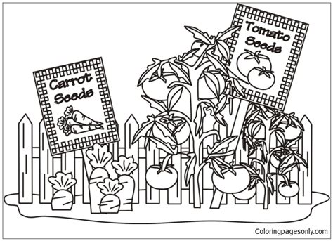 vegetable garden coloring page  printable coloring pages