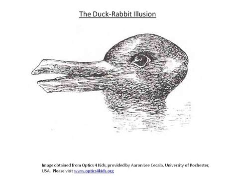 See How Optical Illusions Can Fool Your Brain