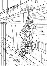 Spiderman Colouring Pages Print Template Printable Templates sketch template