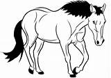 Cavalo Cavalos Caballo Caballos Cavallo Tegninger Hest Pferd Heste Malvorlagen Kleurplaat Pferde Stampare Mayores Dondolo Jinetes Tegning sketch template