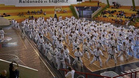 karate do shotokan i s k f master camp sudamericano academia de
