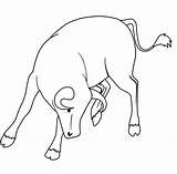 Bull Coloring Pages Animal Farm Head Bucking Scary Drawings sketch template