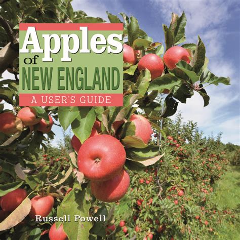 Apples Of New England And America S Apple New England Apples