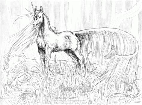 unicorn coloring pages  adults   unicorn