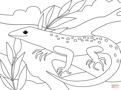 lizard coloring page  printable coloring pages