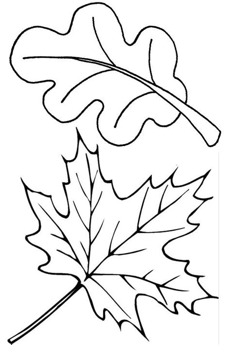 coloring pages  leaves  printables coloring pages