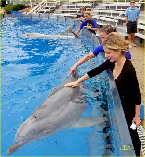 Sarah Michelle Gellar Takes A Dip With Dolphins Photo
