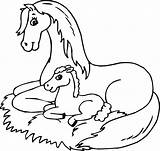 Horse Baby Coloring Pages Mom Printable Getcolorings Color Print sketch template