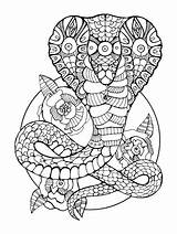 Cobra Serpent Coloriage Mandala Kobra Volwassenen Adultes Schlange Kleurende Erwachsene Adulte Malbuch sketch template