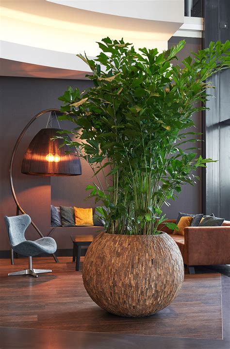 biophilic design interior landscaping  offices showrooms hotels restaurants  schools