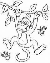 Affe Affen Ausmalen Malvorlage Malvorlagen Ausdrucken Kostenlos Monkey Dschungel Schablone Ausmalbild Jungle Fasching Kinderbilder Wort Einhorn Zootiere Baby Besuchen Gemerkt sketch template