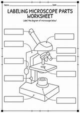 Microscope Worksheet Diagram Light Worksheeto Via Compound sketch template