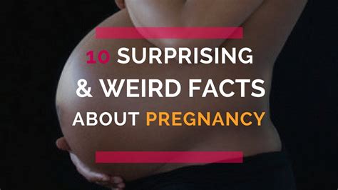 10 surprising and weird facts about pregnancy youtube