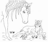 Cavallo Disegni Colorare Animali Cucciolo Bianco Horse Foal Coloradisegni Pages2color Animals Sotto Pulsante sketch template