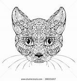 Coloring Cat Pages Adult Colouring Cats Doodle Sketch Bengal Sketches Tattoo Face Dog Google Template sketch template