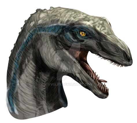 34 Best Images About Blue The Velociraptor On Pinterest